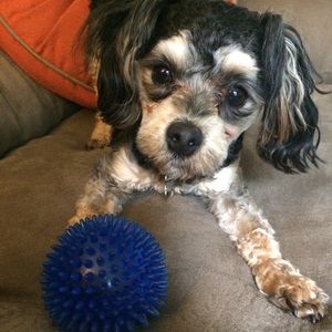 Meet your Posher, Caitlin